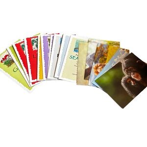 17 Nature Greeting Cards Advice for Life + IFAW Wildlife